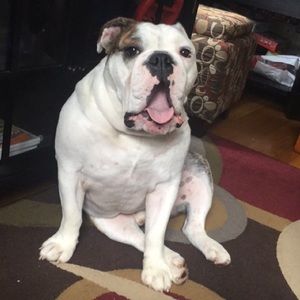 Meet your Posher, Ben